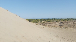 Dunes