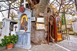 Panagia Plataniotissa in Kalavryta