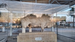 Nord Evia, Toro di Orei