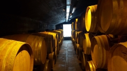 Averof Vinery in Metsovo