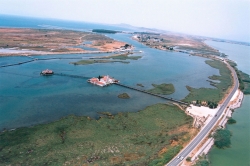 Evros River Delta