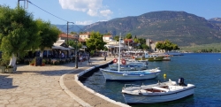 Trizonia harbour